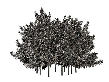 Beyaz bir arka plan üzerinde izole gümüş ağaç 3D render