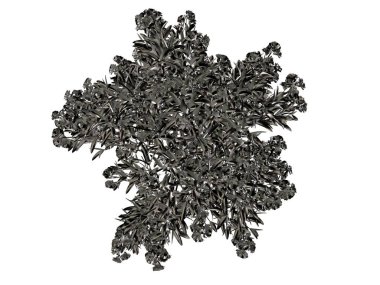 Beyaz bir arka plan üzerinde izole gümüş ağaç 3D render