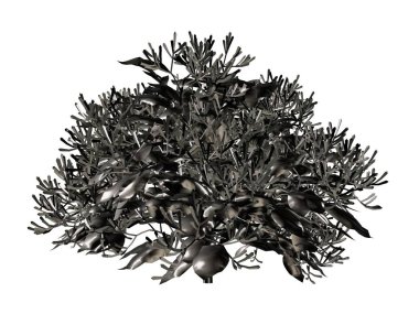 Beyaz bir arka plan üzerinde izole gümüş ağaç 3D render