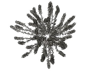 Beyaz bir arka plan üzerinde izole gümüş ağaç 3D render