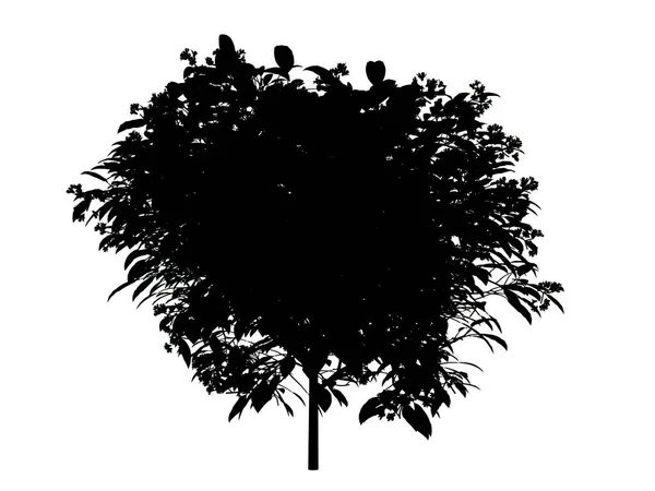 Representación 3d de un árbol de silueta aislado sobre fondo blanco —  Fotos de Stock