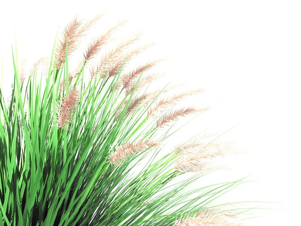 3D-Darstellung eines Vordergrundblumenstrauches isoliert auf Weiß — Stockfoto