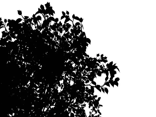 Τρισδιάστατη απεικόνιση του ένα δέντρο σιλουέτα που απομονώνονται σε λευκό φόντο — Φωτογραφία Αρχείου
