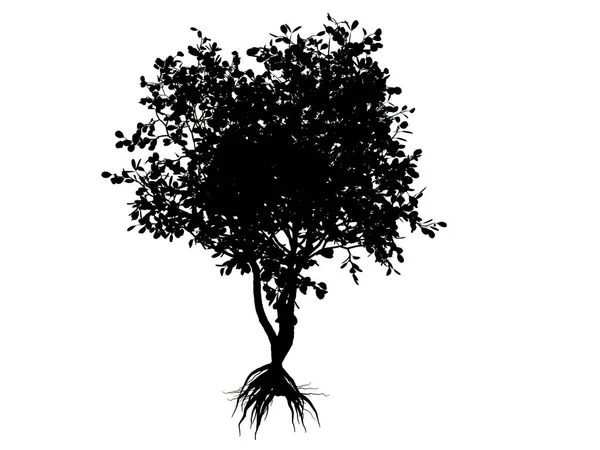 3d rendering of a silhouette tree isolated on white background — Stock Photo, Image