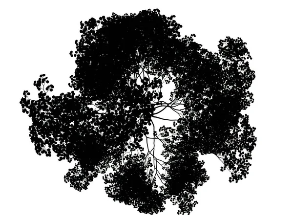 Beyaz arka plan üzerinde izole bir siluet ağacının 3D render