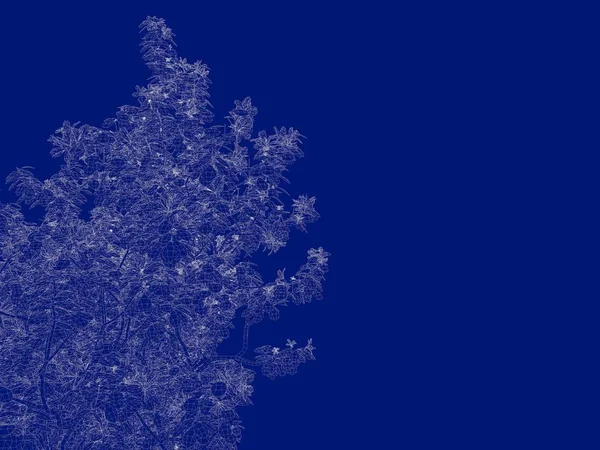 3D render anahatlı bir Bush üzerinde izole mavi arka blueprint