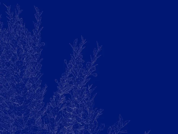 3D render anahatlı bir Bush üzerinde izole mavi arka blueprint