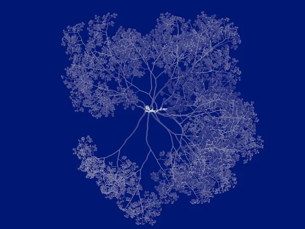 3D рендеринг очертания дерева, изолированного на синей спине — стоковое фото