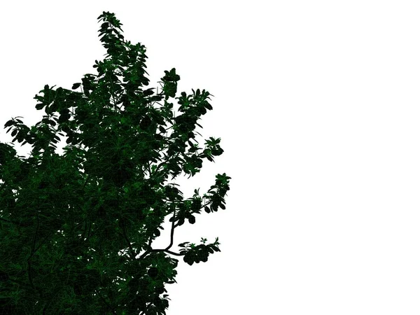 Representación 3d de un árbol negro perfilado con bordes verdes aislados —  Fotos de Stock