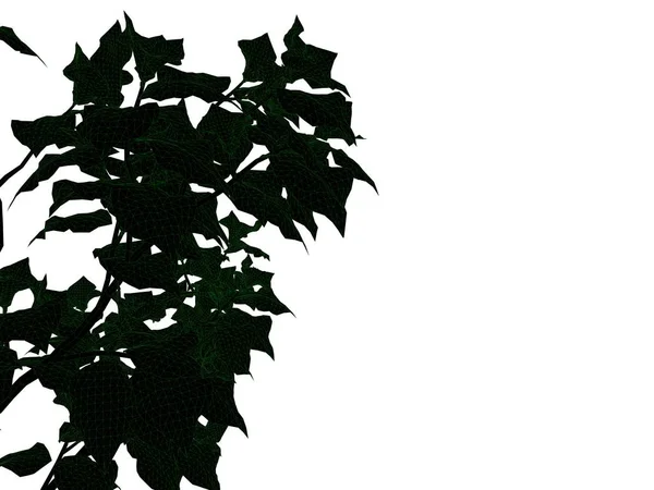 Rendering 3d di un albero nero delineato con bordi verdi isolati — Foto Stock