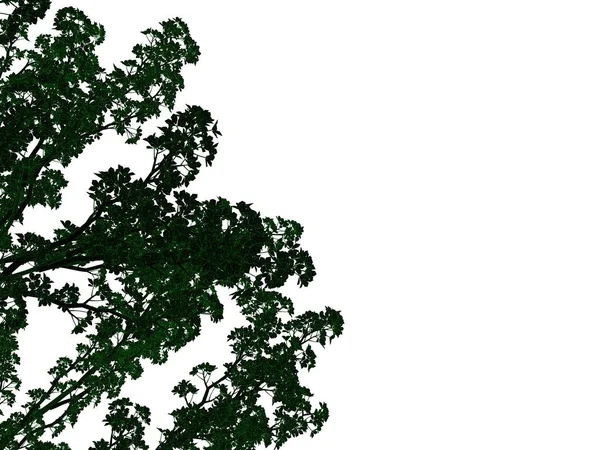 Representación 3d de un árbol negro perfilado con bordes verdes aislados — Foto de Stock