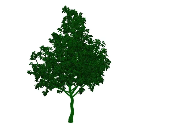 Representación 3d de un árbol negro perfilado con bordes verdes aislados — Foto de Stock