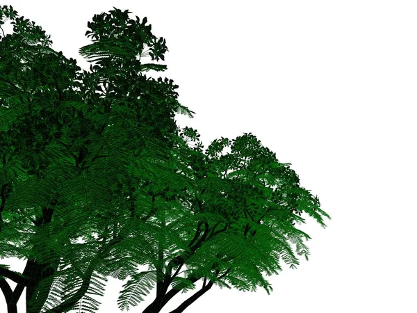 Renderização 3d de uma árvore preta delineada com bordas verdes isoladas — Fotografia de Stock