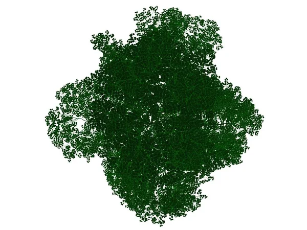 Rendering 3d di un albero nero delineato con bordi verdi isolati — Foto Stock