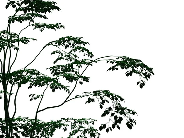Representación 3d de un árbol negro perfilado con bordes verdes aislados —  Fotos de Stock