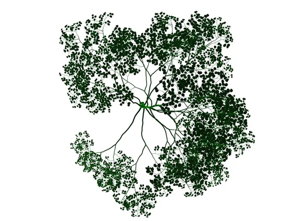 3d визуализация черного дерева с изолированными зелеными краями — стоковое фото