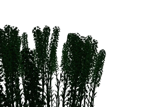 3d rendering of an outlined black bush with green edges isolated — Stock Photo, Image
