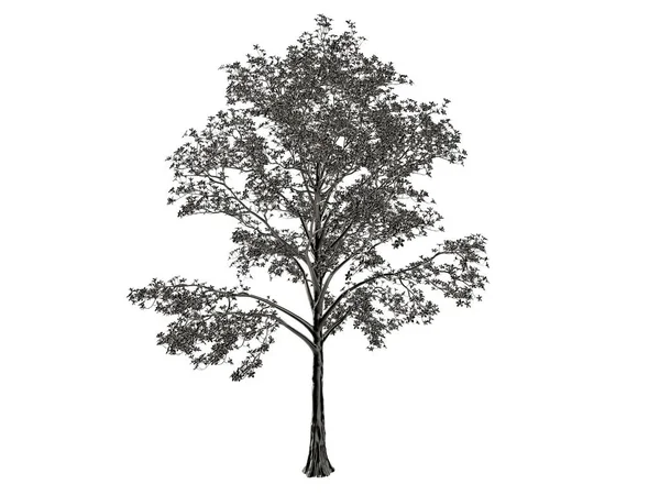 Representación 3d de un árbol de plata aislado sobre un fondo blanco — Foto de Stock