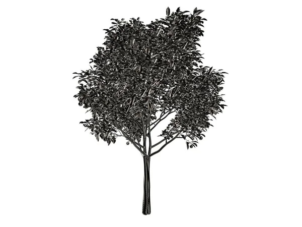 3d renderização de uma árvore de prata isolada em um fundo branco — Fotografia de Stock
