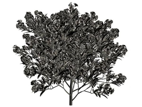 Τρισδιάστατη απεικόνιση του ένα ασημί δέντρο που απομονώνονται σε λευκό φόντο — Φωτογραφία Αρχείου