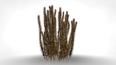 Beyaz ba soyut bir yansıtıcı altın ağaçta 3D render