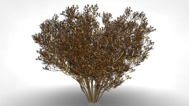 Beyaz ba soyut bir yansıtıcı altın ağaçta 3D render