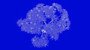 mavi bir arka plan üzerinde beyaz bir anahatlı ağaç 3D render 