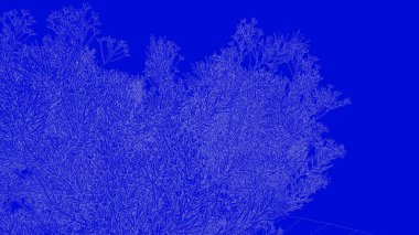 mavi bir arka plan üzerinde beyaz bir anahatlı ağaç 3D render 