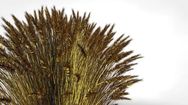 Beyaz ba soyut bir yansıtıcı altın ağaçta 3D render