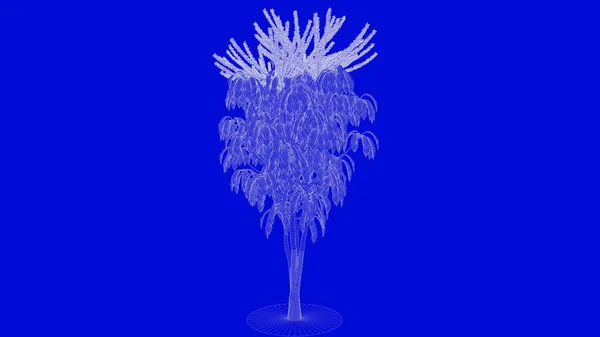 3D-Darstellung eines weiß umrandeten Baumes auf blauem Hintergrund — Stockfoto