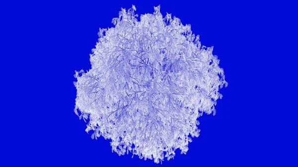 mavi bir arka plan üzerinde beyaz bir anahatlı ağaç 3D render 