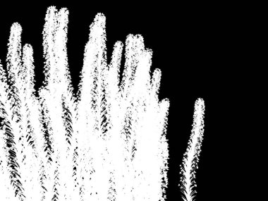 siyah bir arka plan üzerinde beyaz bir soyut ağaç 3D render