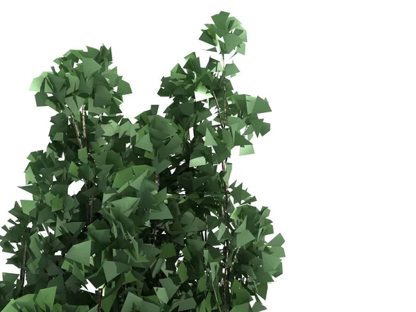 3D render izole bir gerçekçi yeşil ağaç ön plan görünümü — Stok fotoğraf