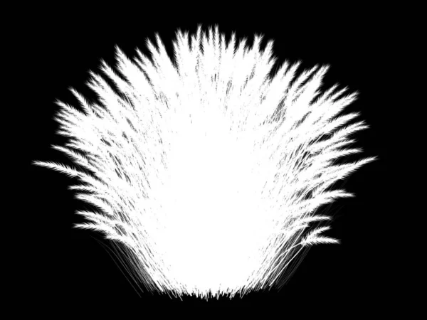 Rendering 3d di un albero astratto bianco su sfondo nero — Foto Stock