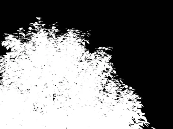 Representación 3d de un árbol abstracto blanco sobre un fondo negro — Foto de Stock