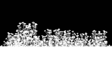 bir siluet bitkilerin 3D render