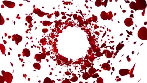 rendu en boucle 3d d'une animation de tunnel de fleurs 