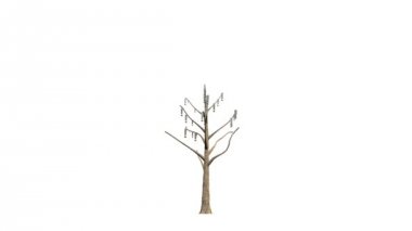 soru işaretleri rüzgarlı ile büyüyen bir ağaç 3D render