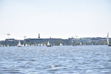 güneşli bir günde yeşil su ve güzel doğa ile hamburg