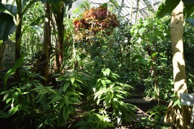 güneşli bir günde yeşil su ve güzel doğa ile hamburg