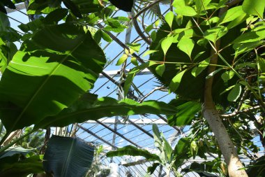 güneşli bir günde yeşil su ve güzel doğa ile hamburg