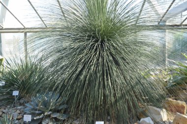 güneşli bir günde yeşil su ve güzel doğa ile hamburg