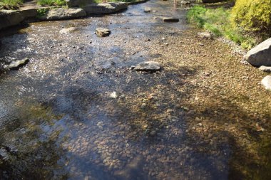 güneşli bir günde yeşil su ve güzel doğa ile hamburg