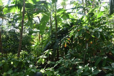 güneşli bir günde yeşil su ve güzel doğa ile hamburg