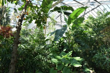 güneşli bir günde yeşil su ve güzel doğa ile hamburg