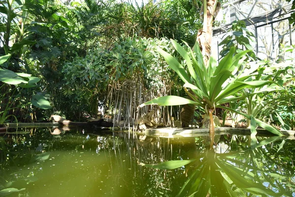 Journée ensoleillée dans hambourg avec eau verte et belle nature — Photo