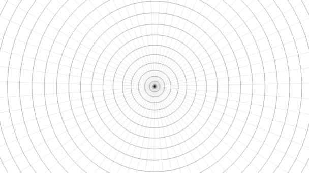 3D рендеринг идеальной петли черные линии на белом фоне анимации — стоковое видео