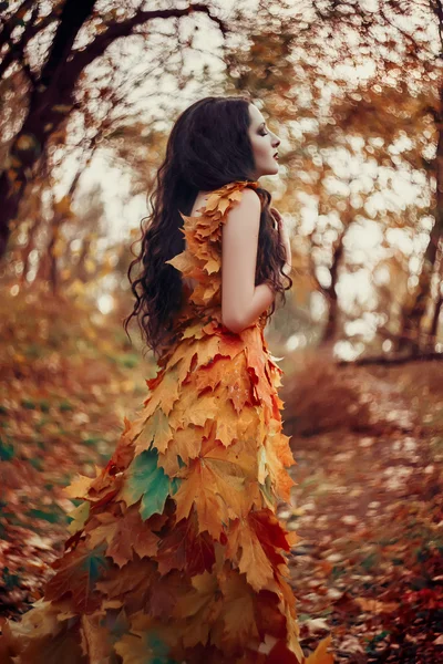 Ragazza fantastica nella foresta autunnale — Foto Stock