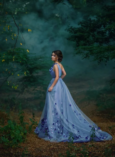 Girl in a long dress,wandering the forest in the fog Royalty Free Stock Images