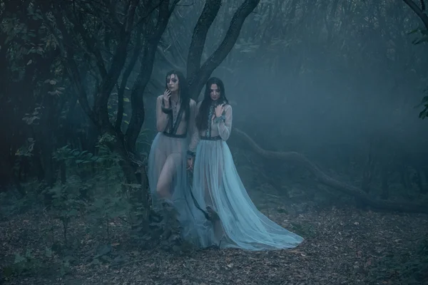 Таємнича дама з довгим чорним волоссям ходить у дикому лісі — стокове фото